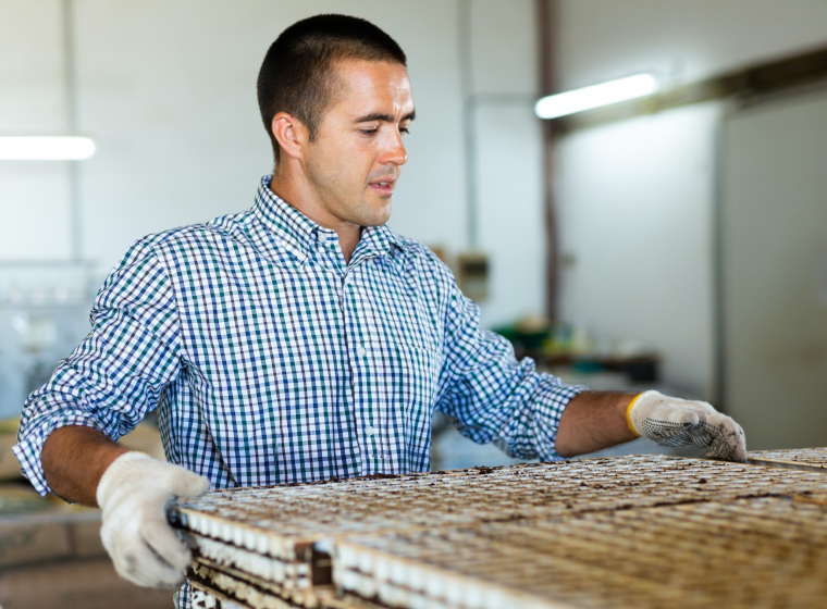 CDP Services Entreprises